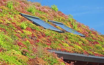 Middlecott living roof systems