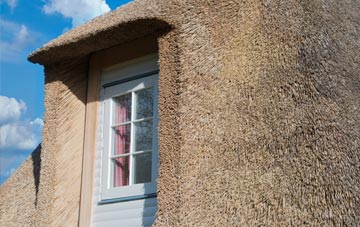 Middlecott thatch roof disadvantages